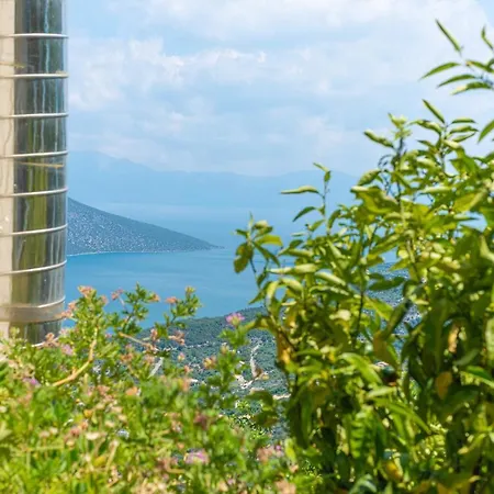 View בית נופש