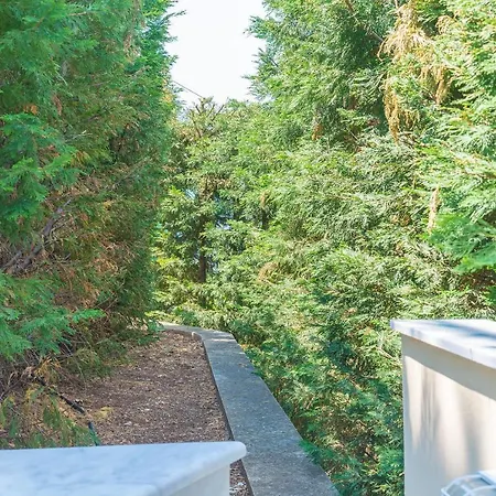 View בית נופש