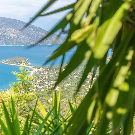 Σπίτι διακοπών View